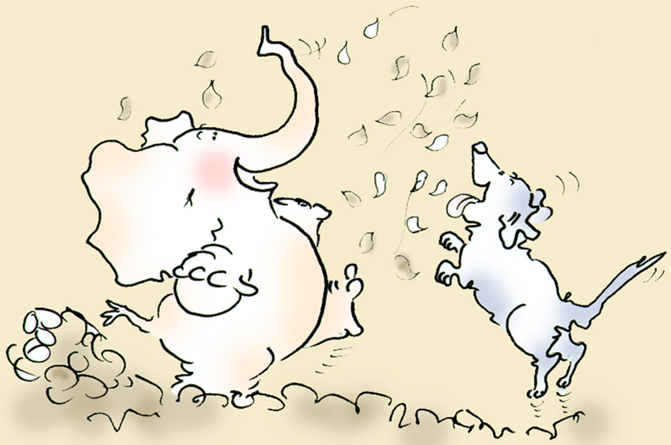 The Secrets of Elephant Wisdom